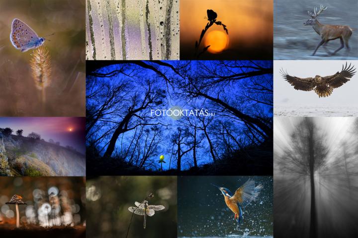 Haladó szintű természetfotó oktatás 